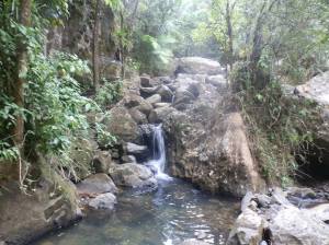 one of the smaller falls on the trail to La Mina 